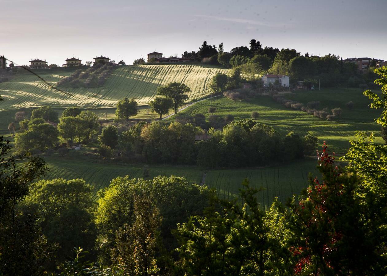 Grande Villa Storica Per Vacanze Con Giardino Privato E Piscina Ostra Dış mekan fotoğraf