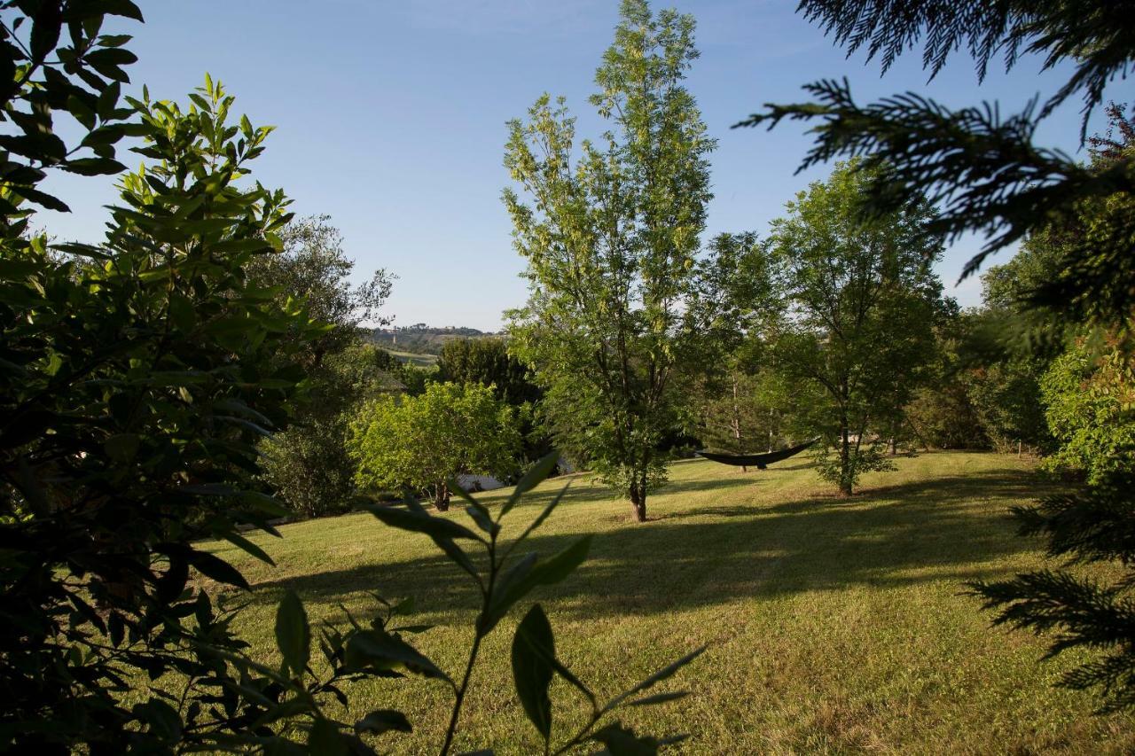 Grande Villa Storica Per Vacanze Con Giardino Privato E Piscina Ostra Dış mekan fotoğraf