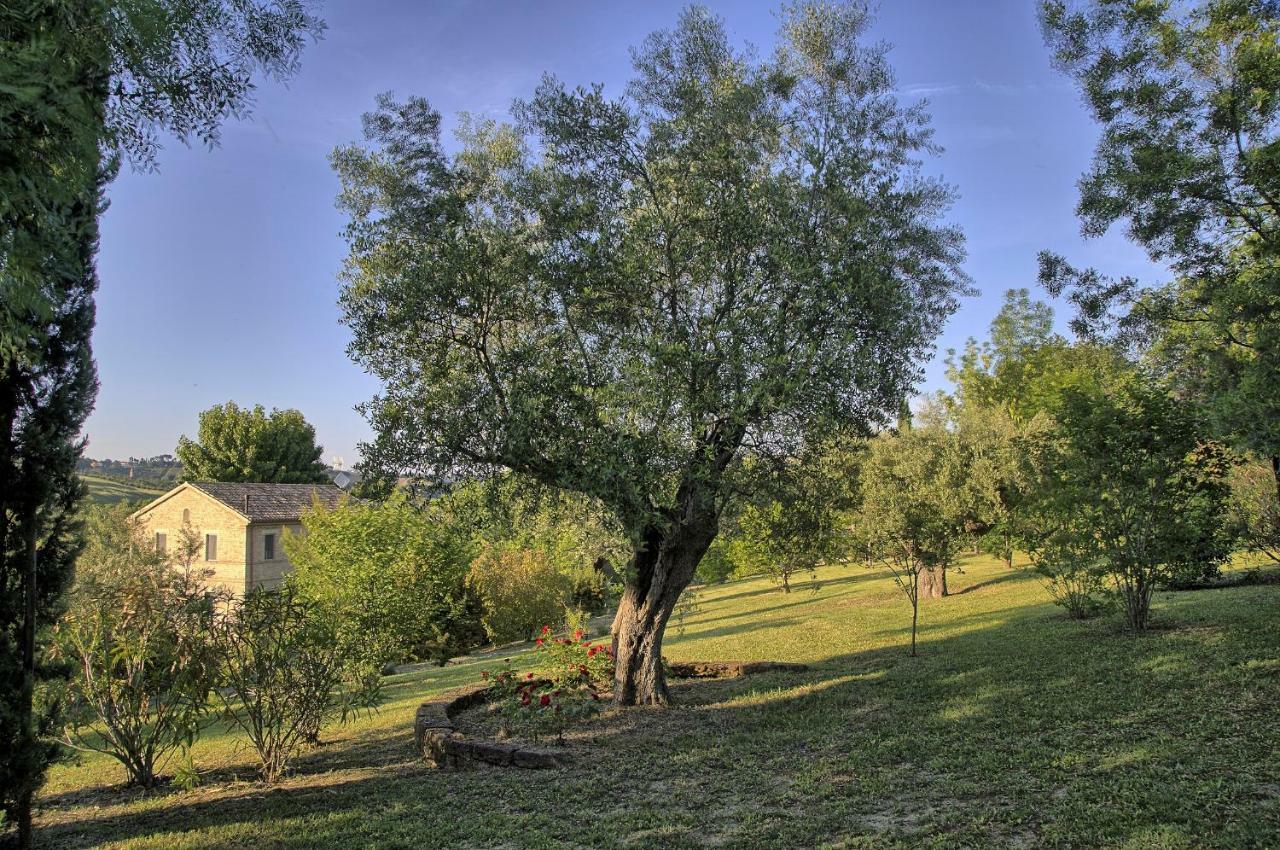 Grande Villa Storica Per Vacanze Con Giardino Privato E Piscina Ostra Dış mekan fotoğraf