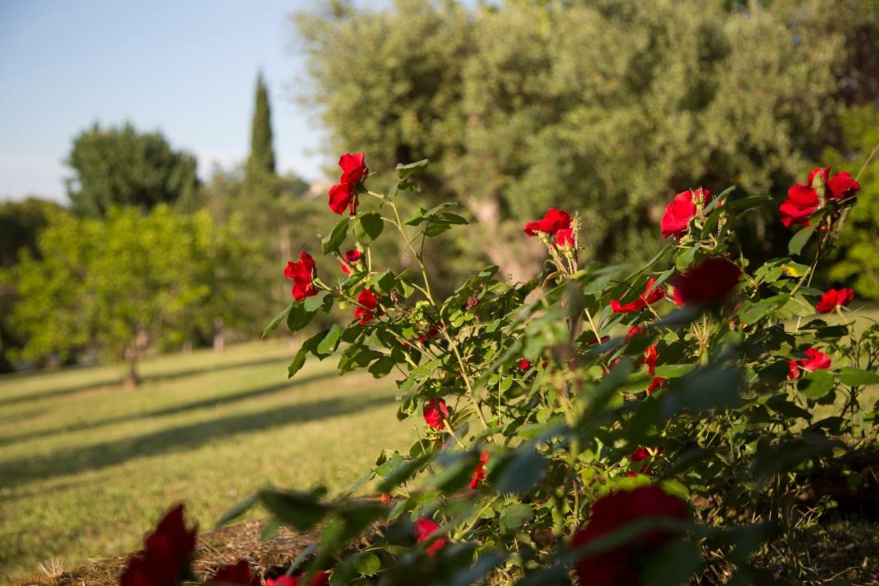 Grande Villa Storica Per Vacanze Con Giardino Privato E Piscina Ostra Dış mekan fotoğraf